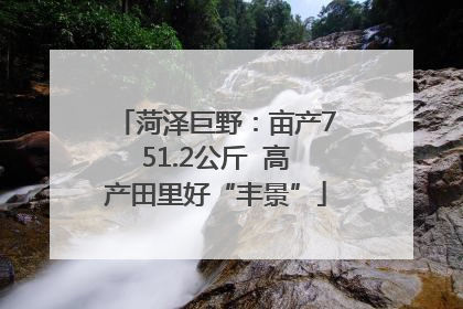 菏泽巨野：亩产751.2公斤  高产田里好“丰景”