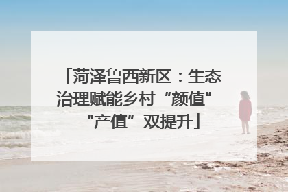 菏泽鲁西新区：生态治理赋能乡村“颜值”“产值”双提升