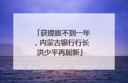 获提拔不到一年，内蒙古银行行长洪少平再履新