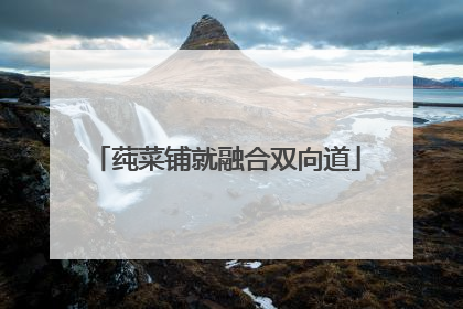 莼菜铺就融合双向道