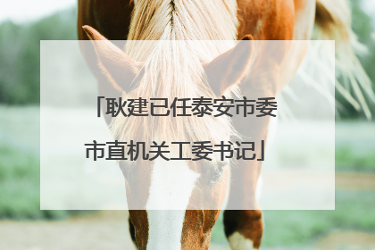 耿建已任泰安市委市直机关工委书记