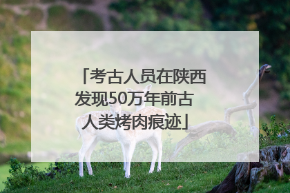 考古人员在陕西发现50万年前古人类烤肉痕迹