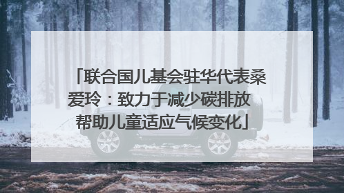 联合国儿基会驻华代表桑爱玲：致力于减少碳排放 帮助儿童适应气候变化
