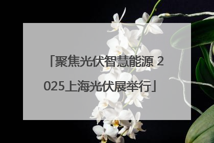 聚焦光伏智慧能源 2025上海光伏展举行