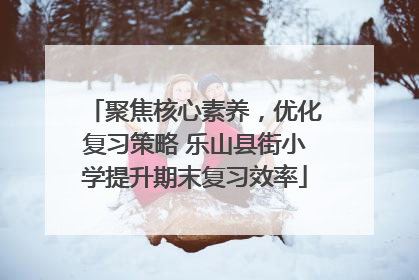 聚焦核心素养，优化复习策略 乐山县街小学提升期末复习效率
