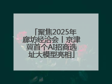 聚焦2025年廊坊经洽会丨京津冀首个AI招商选址大模型亮相