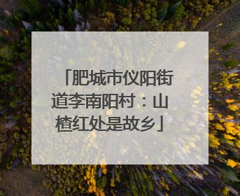 肥城市仪阳街道李南阳村：山楂红处是故乡