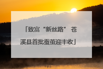 致富“新丝路” 苍溪县首批蚕茧迎丰收