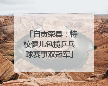 自贡荣县：特校健儿包揽乒乓球赛事双冠军