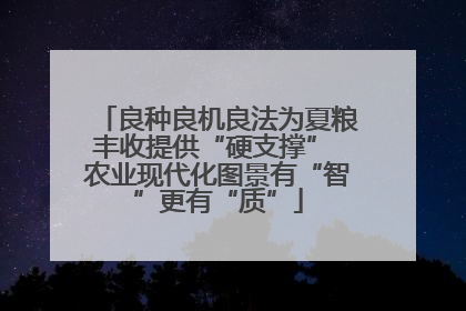 良种良机良法为夏粮丰收提供“硬支撑” 农业现代化图景有“智”更有“质”