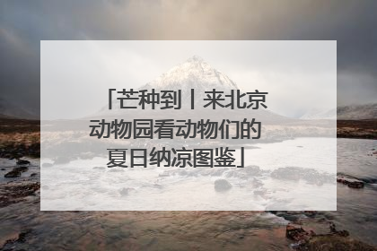 芒种到丨来北京动物园看动物们的夏日纳凉图鉴