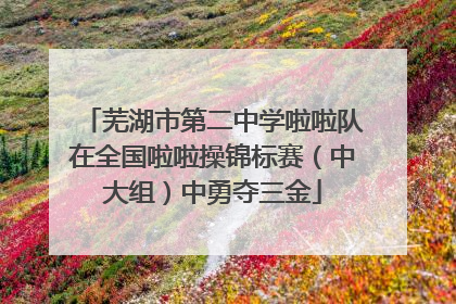 芜湖市第二中学啦啦队在全国啦啦操锦标赛（中大组）中勇夺三金