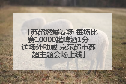 苏超燃爆赛场 每场比赛10000罐啤酒1分送场外助威 京东超市苏超主题会场上线