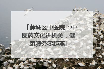 薛城区中医院：中医药文化进机关，健康服务零距离