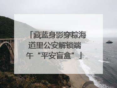 藏蓝身影穿粽海 道里公安解锁端午“平安盲盒”