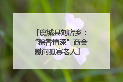 虞城县刘店乡：“粽香情深”商会慰问孤寡老人