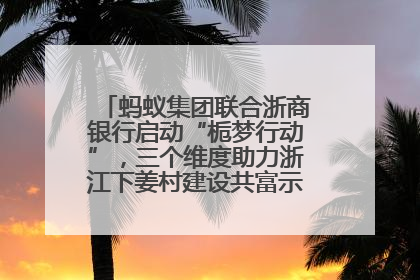 蚂蚁集团联合浙商银行启动“栀梦行动”，三个维度助力浙江下姜村建设共富示范区示范点