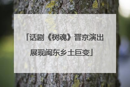 话剧《树魂》晋京演出 展现闽东乡土巨变