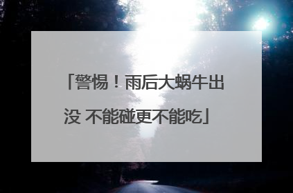 警惕！雨后大蜗牛出没 不能碰更不能吃