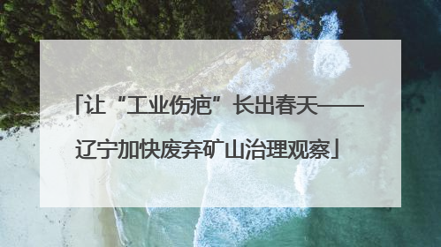 让“工业伤疤”长出春天——辽宁加快废弃矿山治理观察