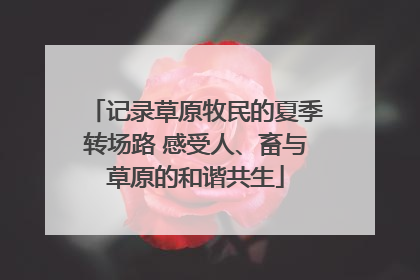记录草原牧民的夏季转场路 感受人、畜与草原的和谐共生