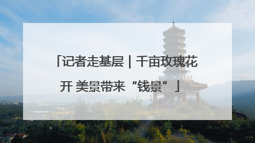记者走基层｜千亩玫瑰花开 美景带来“钱景”