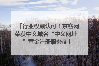 行业权威认可！京客网荣获中文域名“中文网址”黄金注册服务商