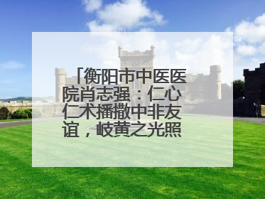 衡阳市中医医院肖志强：仁心仁术播撒中非友谊，岐黄之光照亮津巴大地