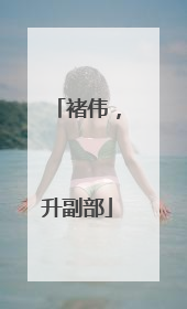 褚伟，升副部