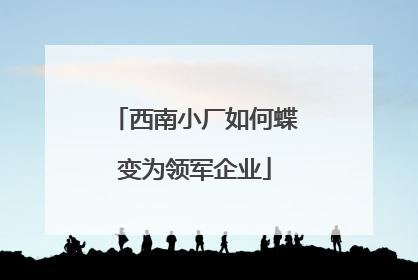 西南小厂如何蝶变为领军企业