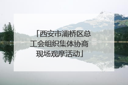 西安市灞桥区总工会组织集体协商现场观摩活动