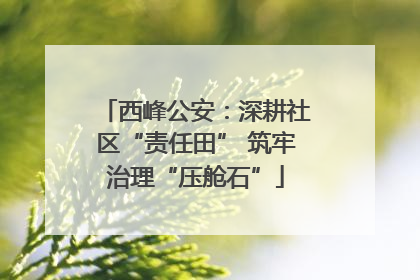 西峰公安：深耕社区“责任田” 筑牢治理“压舱石”