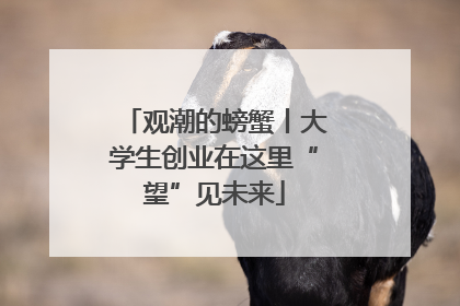 观潮的螃蟹丨大学生创业在这里“望”见未来