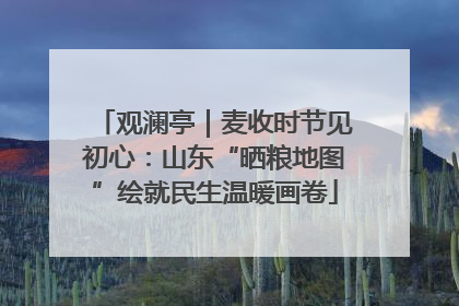 观澜亭｜麦收时节见初心：山东“晒粮地图”绘就民生温暖画卷
