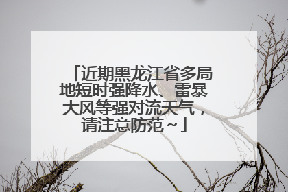 近期黑龙江省多局地短时强降水、雷暴大风等强对流天气，请注意防范～