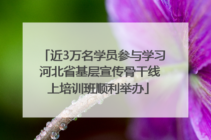 近3万名学员参与学习 河北省基层宣传骨干线上培训班顺利举办