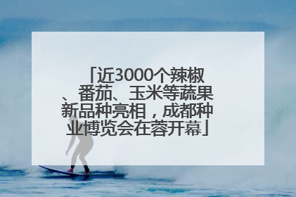 近3000个辣椒、番茄、玉米等蔬果新品种亮相，成都种业博览会在蓉开幕