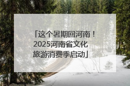 这个暑期回河南！2025河南省文化旅游消费季启动
