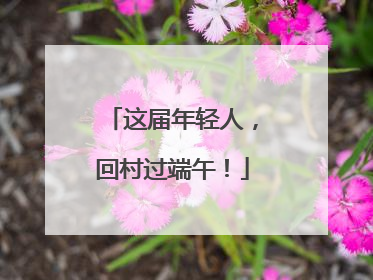 这届年轻人，回村过端午！