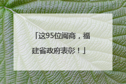 这95位闽商，福建省政府表彰！