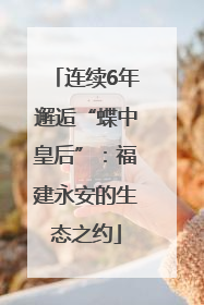 连续6年邂逅“蝶中皇后”：福建永安的生态之约