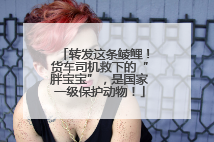 转发这条鲮鲤！货车司机救下的“胖宝宝”，是国家一级保护动物！