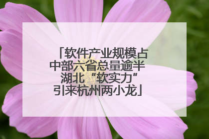 软件产业规模占中部六省总量逾半 湖北“软实力”引来杭州两小龙