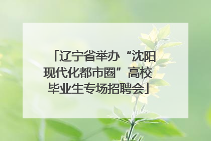 辽宁省举办“沈阳现代化都市圈”高校毕业生专场招聘会
