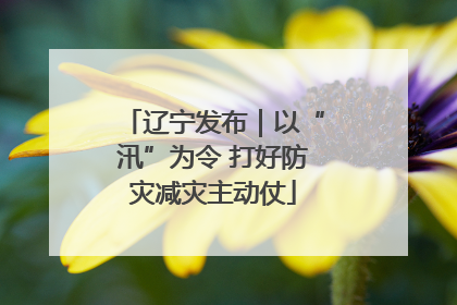辽宁发布｜以“汛”为令 打好防灾减灾主动仗