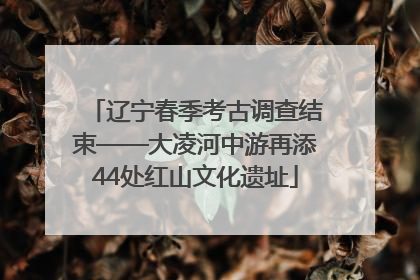 辽宁春季考古调查结束——大凌河中游再添44处红山文化遗址