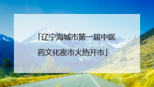辽宁海城市第一届中医药文化夜市火热开市