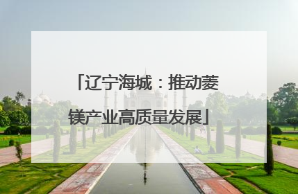 辽宁海城：推动菱镁产业高质量发展