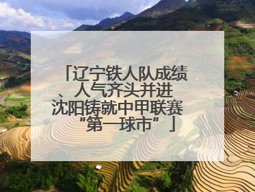辽宁铁人队成绩、人气齐头并进 沈阳铸就中甲联赛“第一球市”