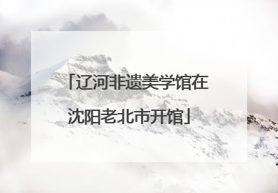 辽河非遗美学馆在沈阳老北市开馆